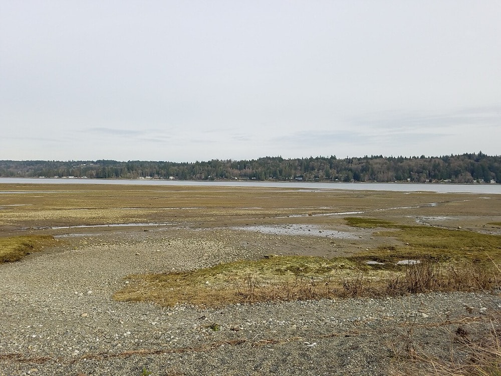 Belfair State Park