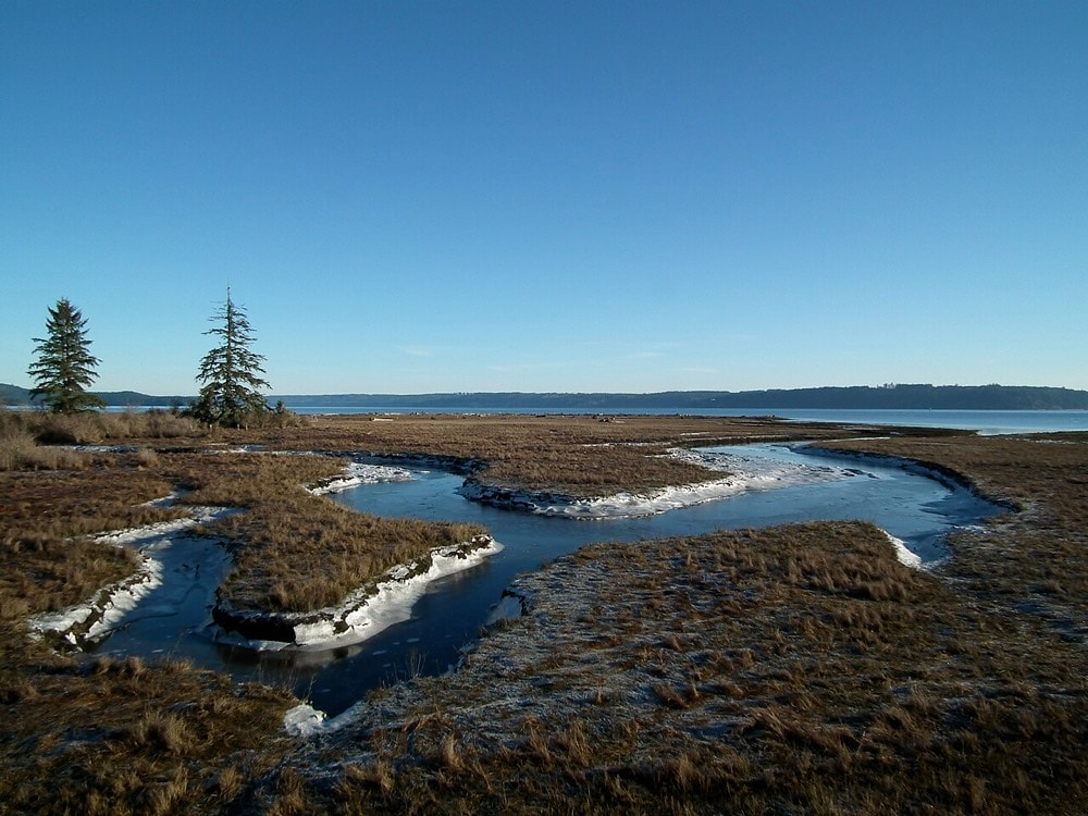 Dosewallips State Park