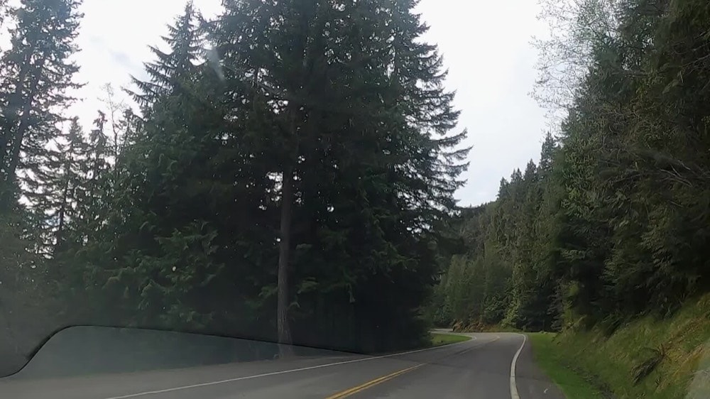Hurricane Ridge